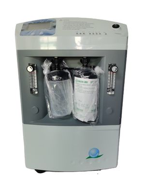 Двухпоточная кислородная машина Домашняя атомизация Медицинский 10 литровый кислородный генератор