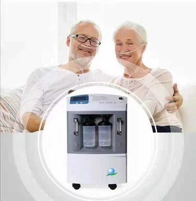 Двухпоточная кислородная машина Домашняя атомизация Медицинский 10 литровый кислородный генератор